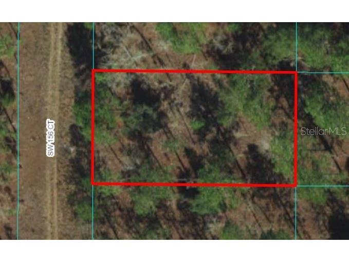 00 SW 156th Court Ocala FL 34481 OM672373 image1