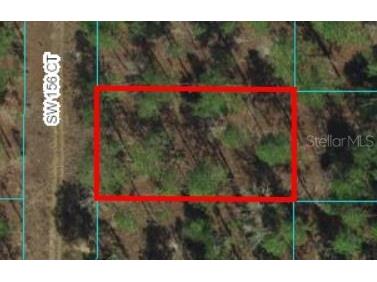 00 SW 156th Court Ocala FL 34481 OM672383 image1