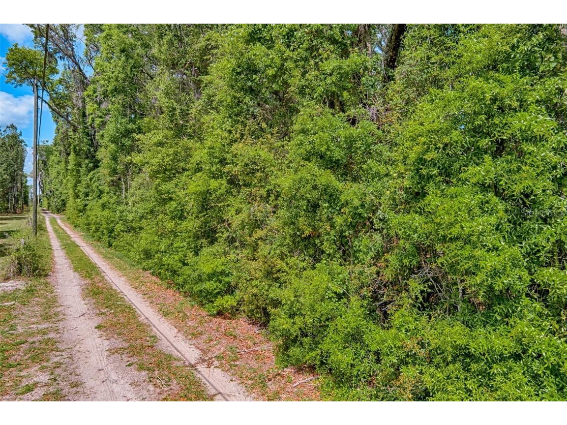 00 SW 157th Avenue Archer FL 32618 GC529893 image3