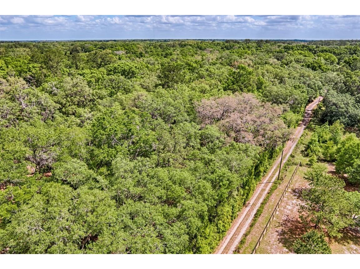 00 SW 157th Avenue Archer FL 32618 GC529893 image4