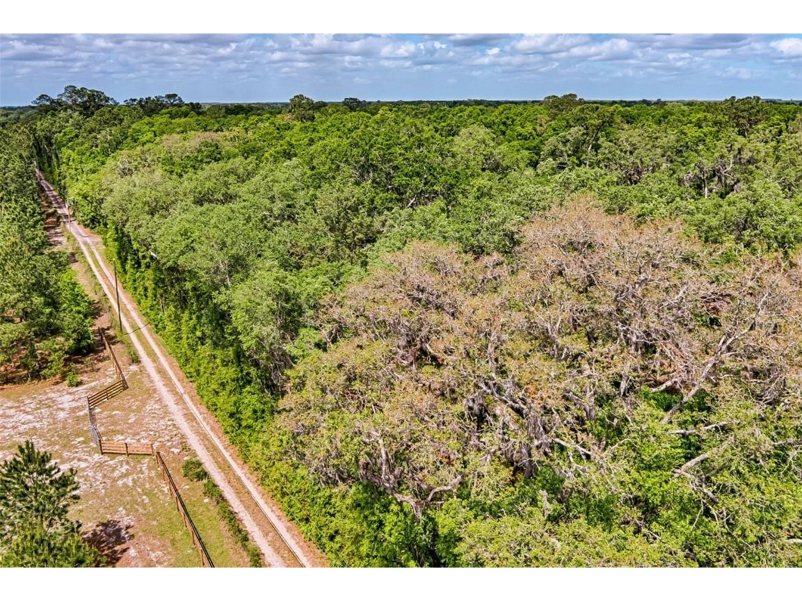 00 SW 157th Avenue Archer FL 32618 GC529893 image5