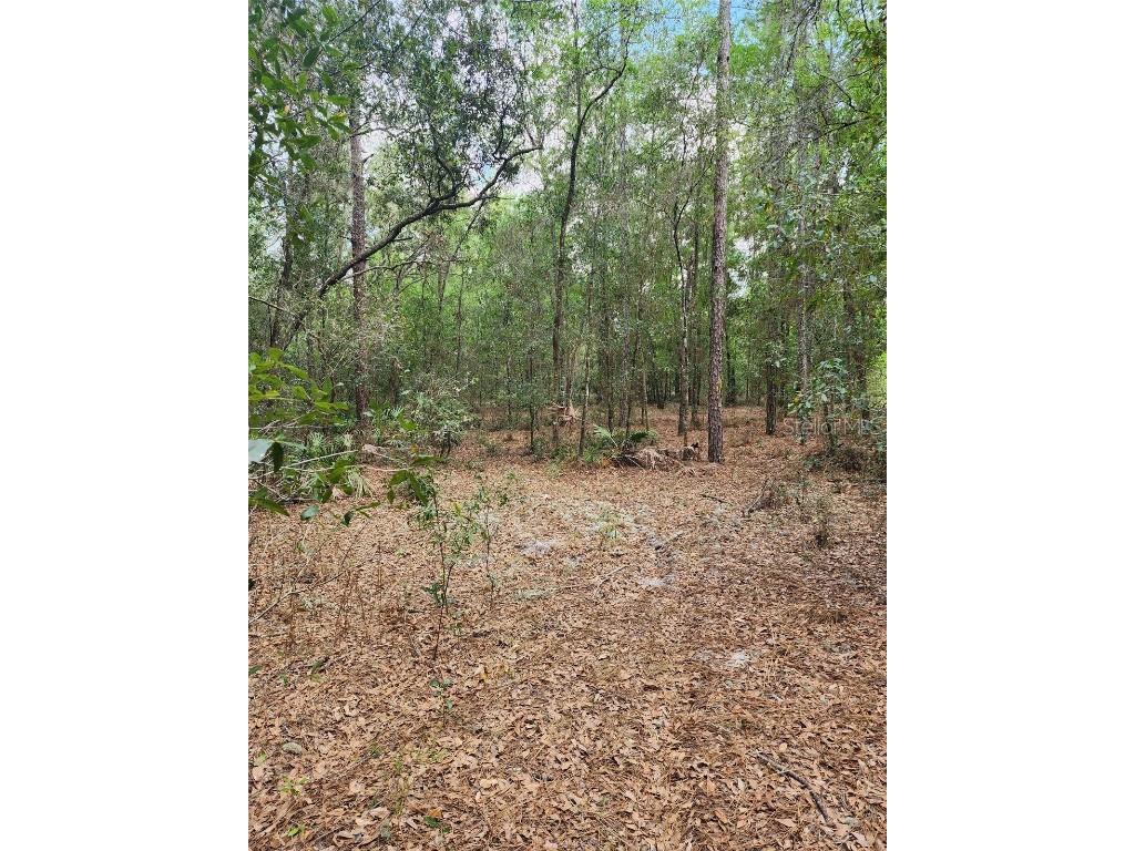 00 SW 157th Ln Dunnellon FL 34432 G5067060 image1