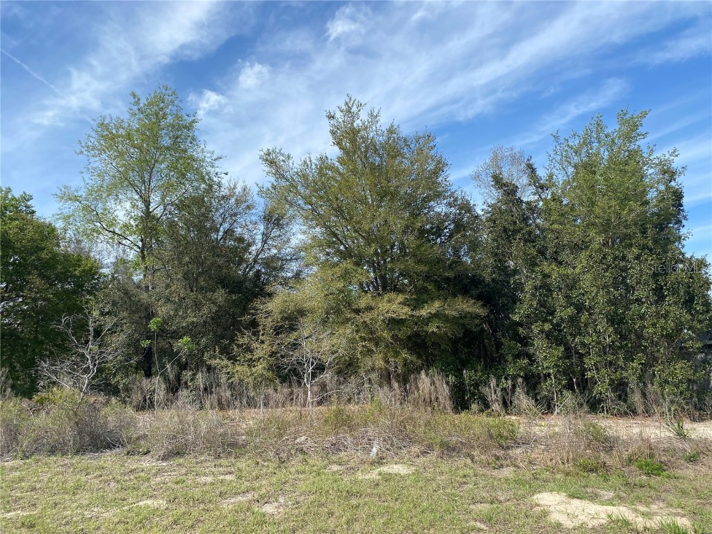 00 Sw 158 Place Ocala FL 34473 V4923633 image1