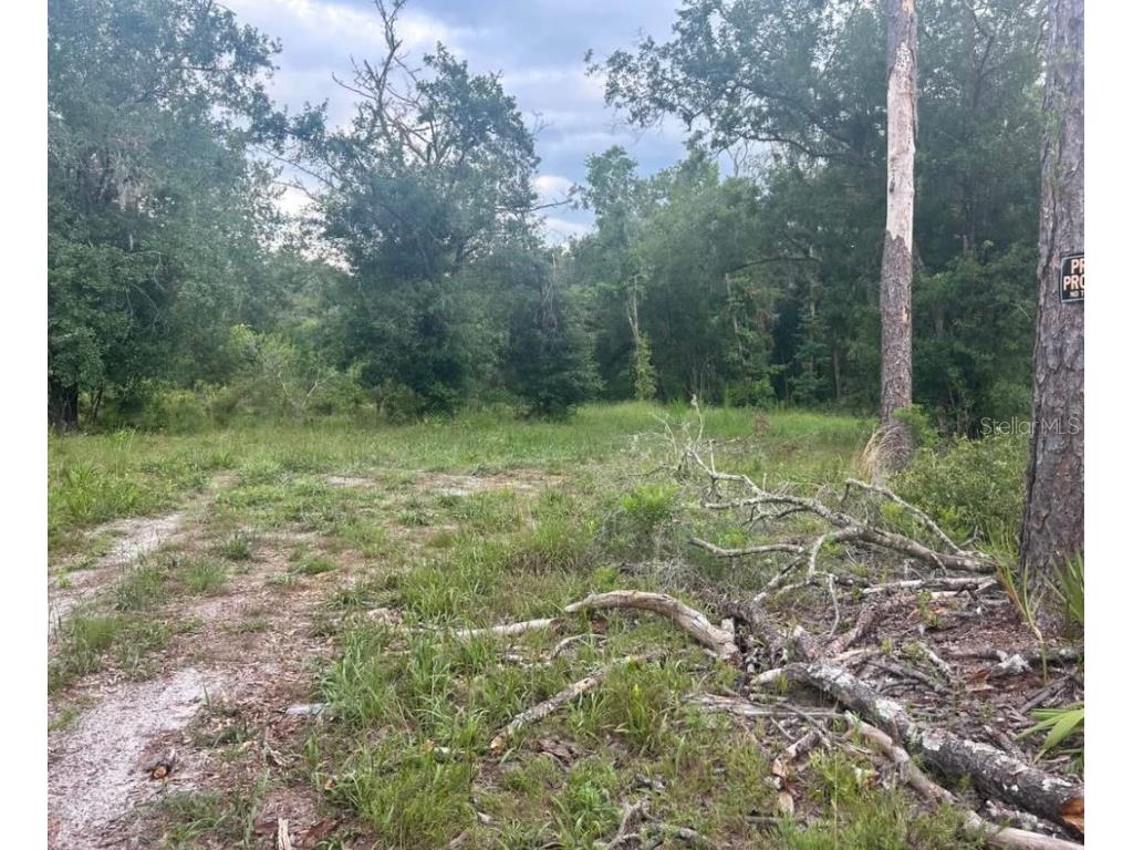 00 SW 158th Lane Dunnellon FL 34432 G5101414 image1