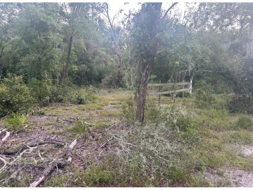 00 SW 158th Lane Dunnellon FL 34432 G5101414 image3