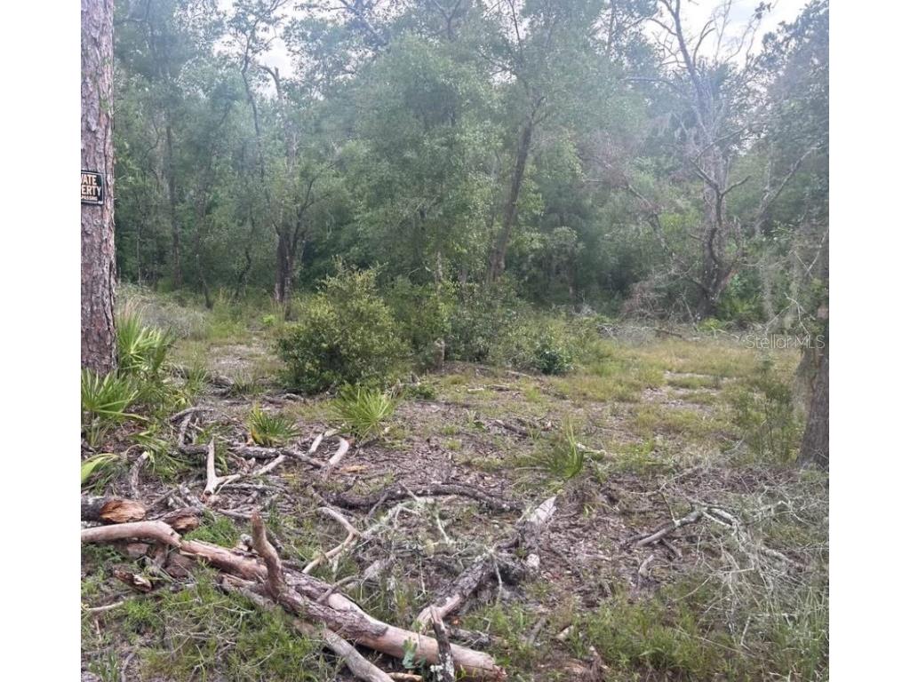 00 SW 158th Lane Dunnellon FL 34432 G5101414 image4