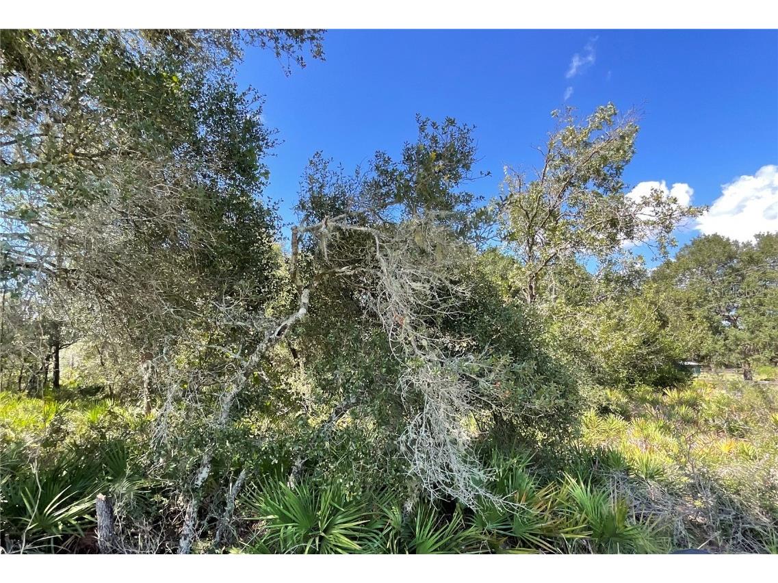 00 SW 160th Street Dunnellon FL 34432 G5072068 image1