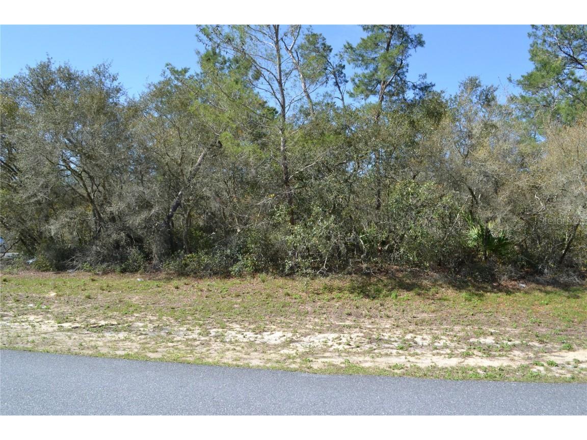 00 SW 168th Loop Ocala FL 34473 OM668081 image1