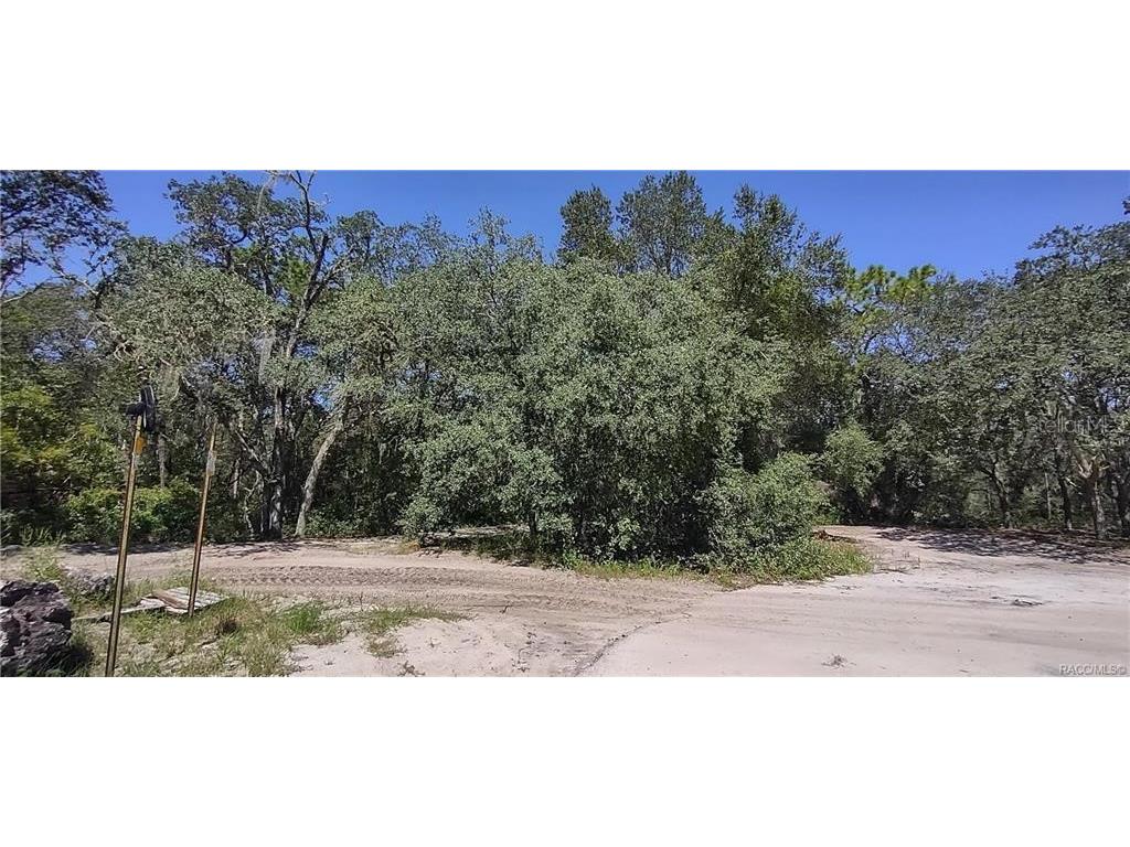 00 SW 172nd Loop Ocala FL 34473 T3548872 image1