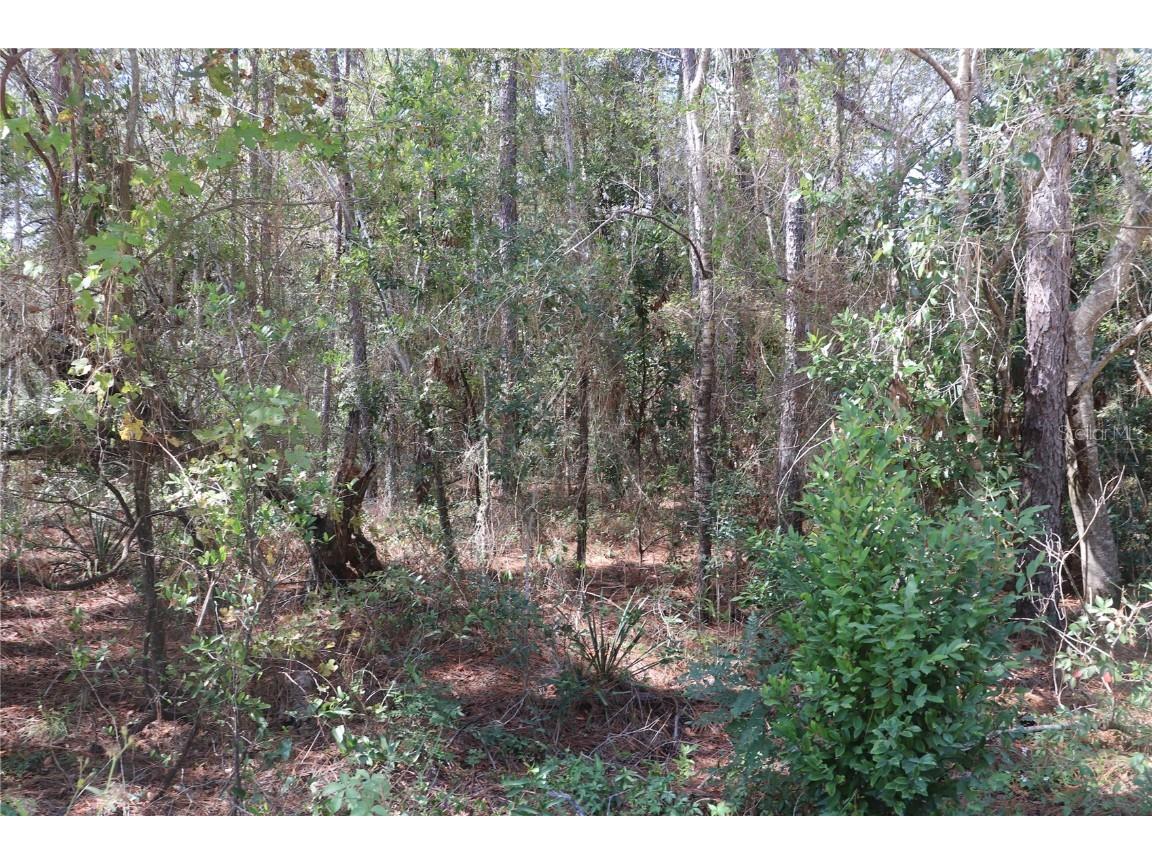 00 SW 174 Avenue Dunnellon FL 34432 OM666850 image1