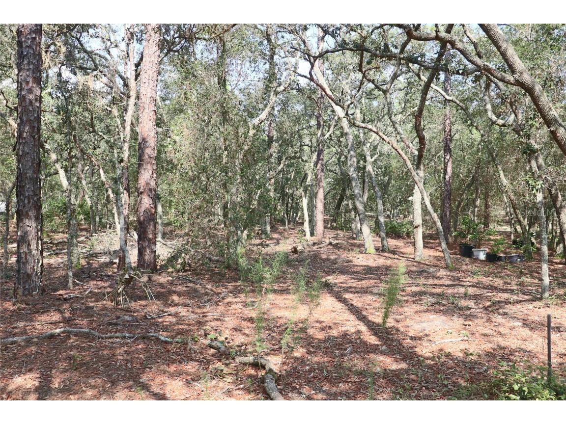 00 SW 176 Avenue Dunnellon FL 34432 OM661934 image1