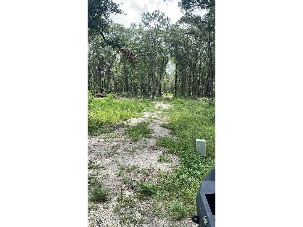 00 SW 186 Court Dunnellon FL 34432 S5072277 image1