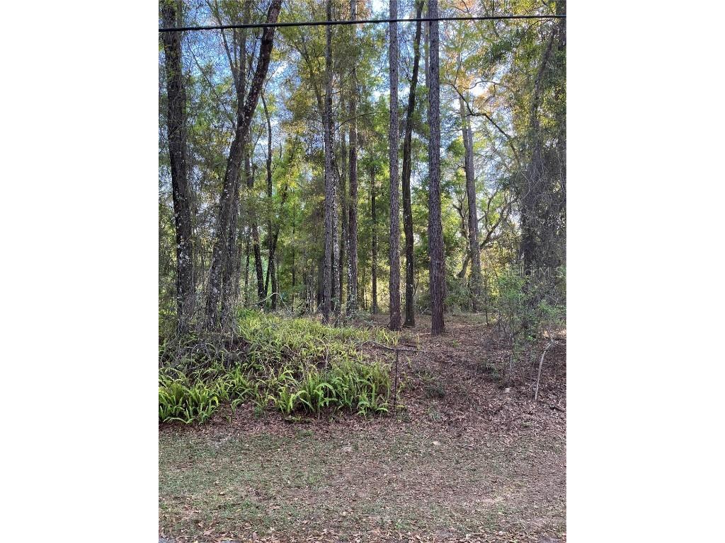 00 SW 188th Avenue Dunnellon FL 34432 - RAINBOW RIVER OM674781 image1