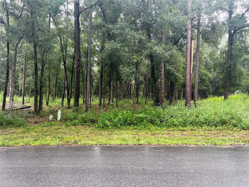 00 SW 188th Cir Dunnellon FL 34432 - RAINBOW RIVER OM685902 image1