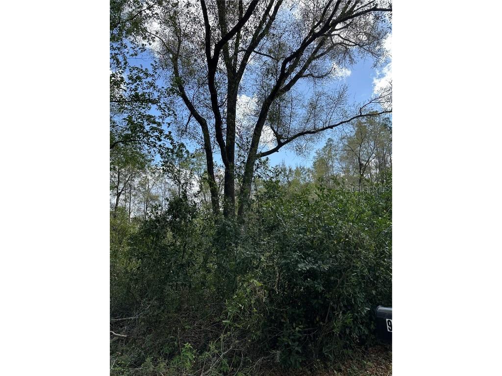 00 SW 193 Circle Dunnellon FL 34432 OM696885 image2