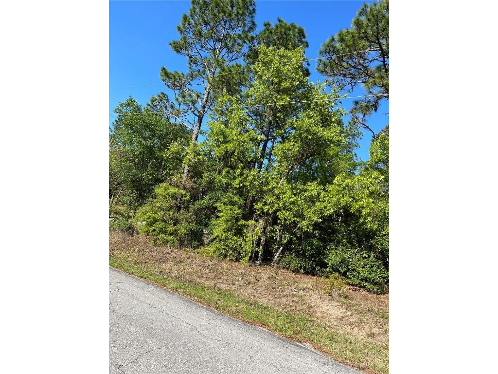 00 SW 201 Circle Dunnellon FL 34431 OM636969 image1