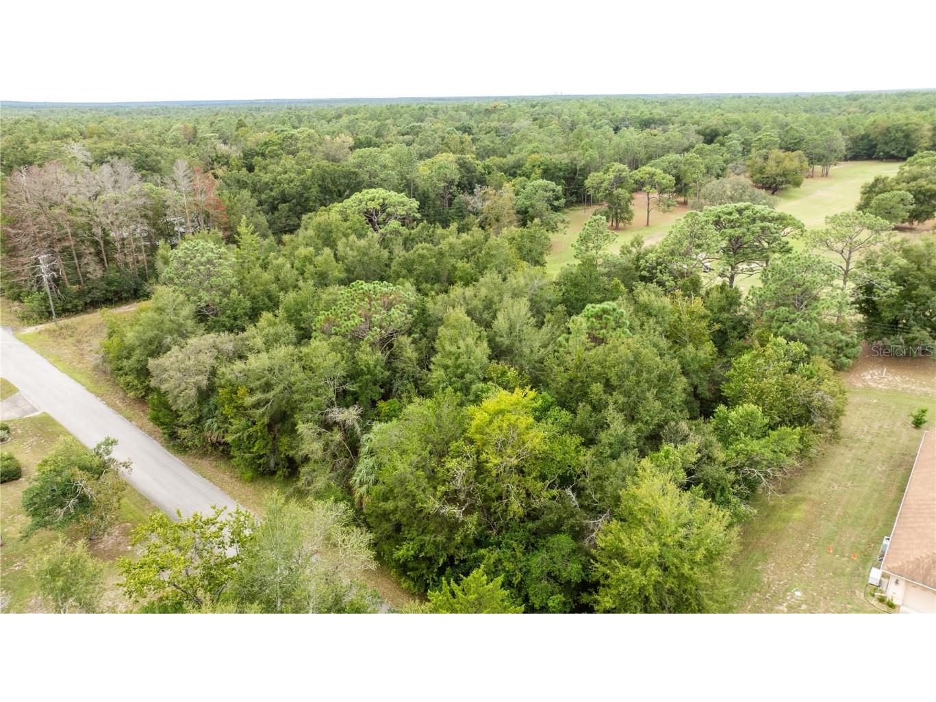 00 SW 204 Th Court Dunnellon FL 34431 OM711328 image2