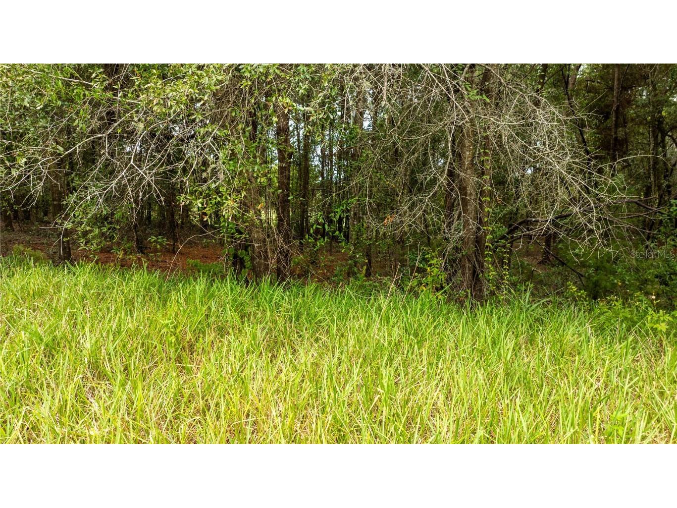 00 SW 204 Th Court Dunnellon FL 34431 OM711328 image7