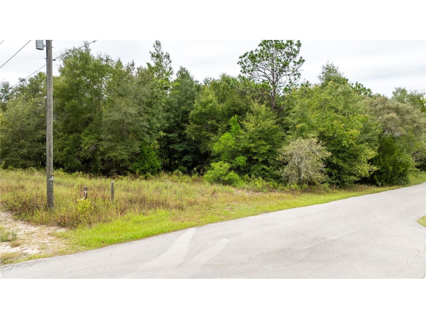 00 SW 204th Court Dunnellon FL 34431 OM711329 image8