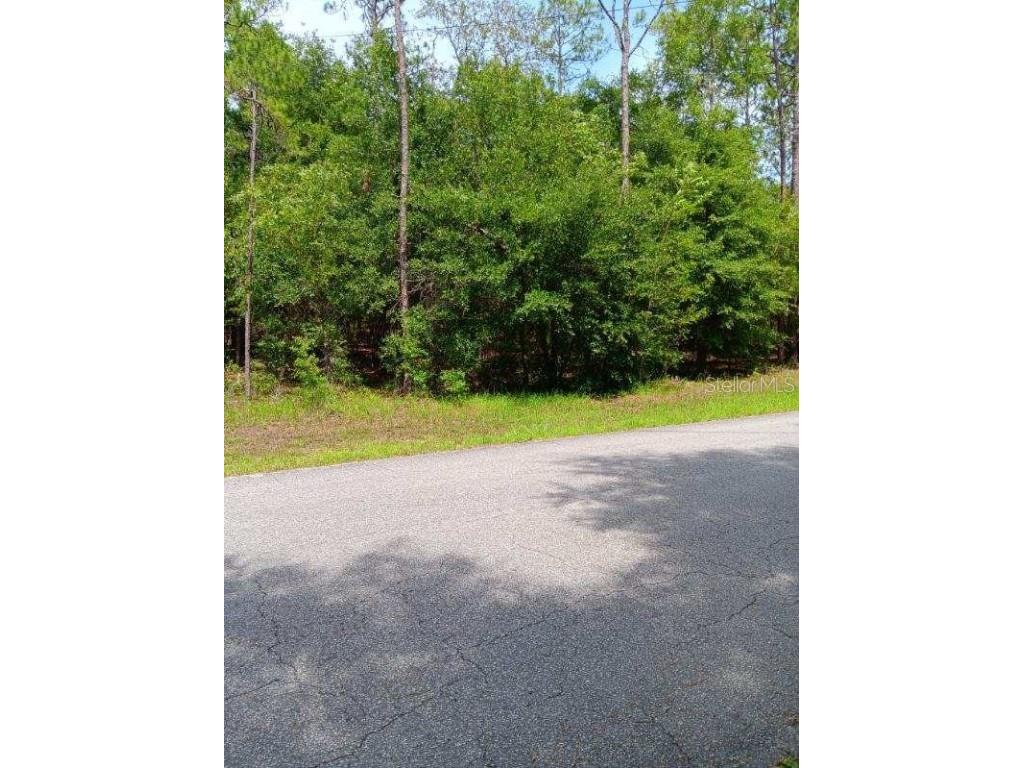 00 SW 206th Court Road Dunnellon FL 34431 - RAINBOW RIVER OM681096 image1