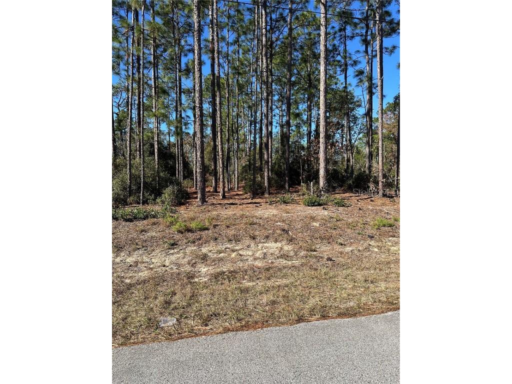 00 SW 209th Avenue Dunnellon FL 34431 OM691814 image1