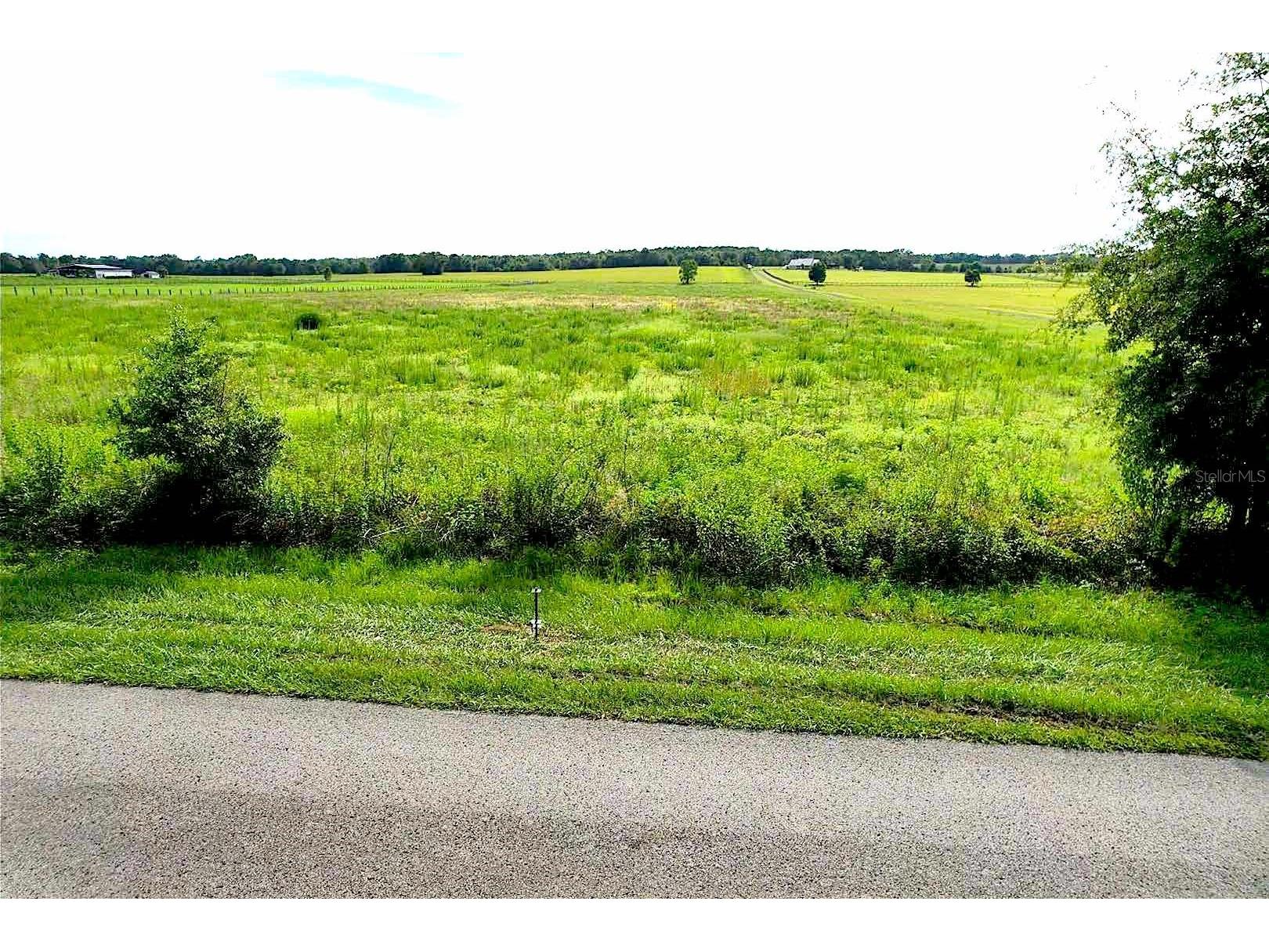 00 SW 210 Avenue Dunnellon FL 34431 OM727996 image7