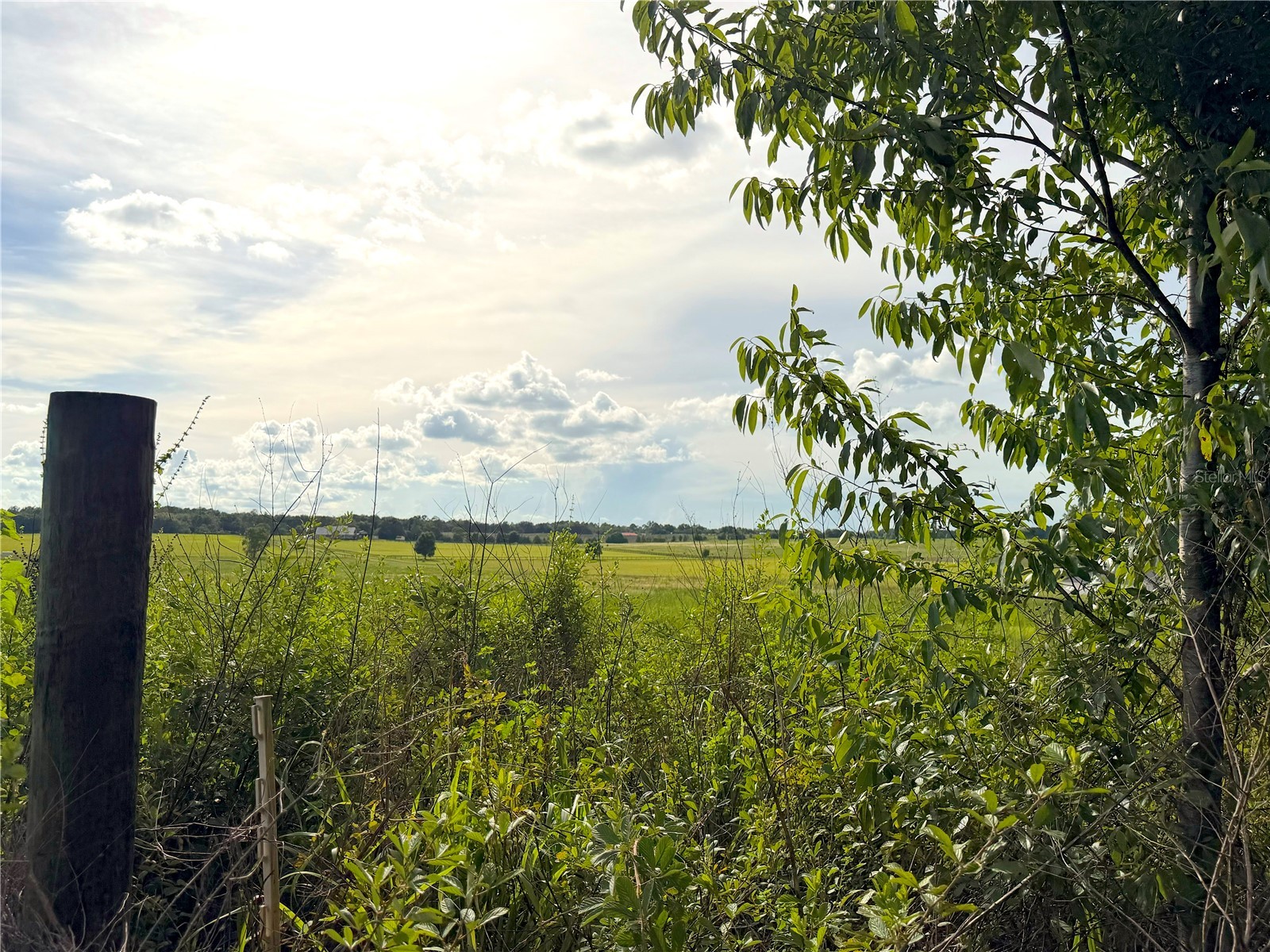 00 SW 210 Avenue Dunnellon FL 34431 OM727996 image8