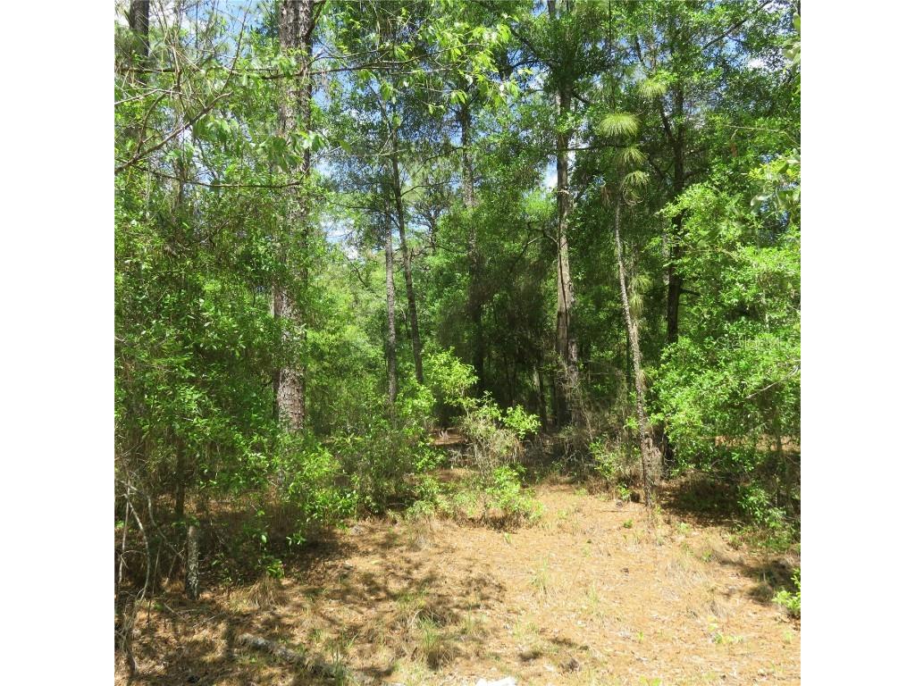 00 SW 25th Place #LOT 27 Ocala FL 34481 OM636738 image1