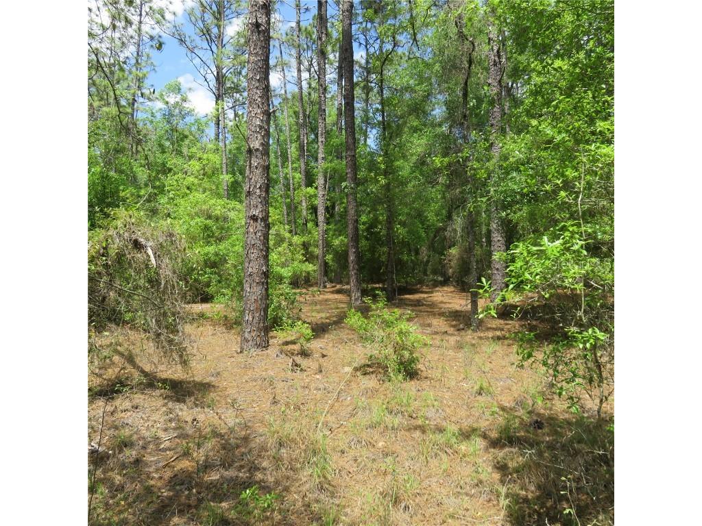 00 SW 25th Place #LOT 28 Ocala FL 34481 OM636739 image1