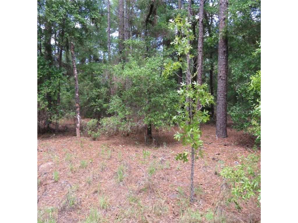 00 SW 25th Place #LOT 29 Ocala FL 34481 OM636741 image1