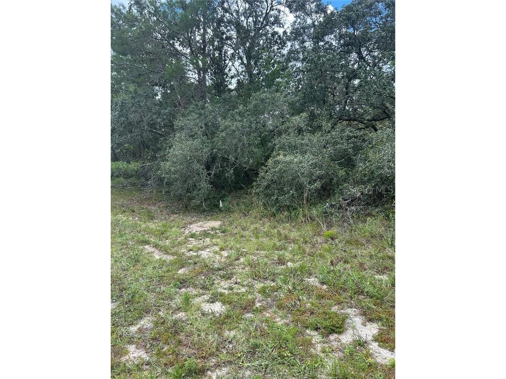 00 SW 27th Circle Ocala FL 34473 OM708785 image3