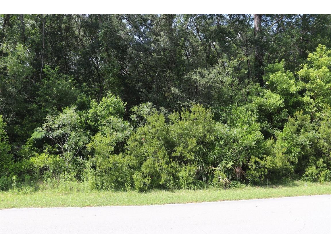 00 SW 27th Street Dunnellon FL 34432 OM679147 image1