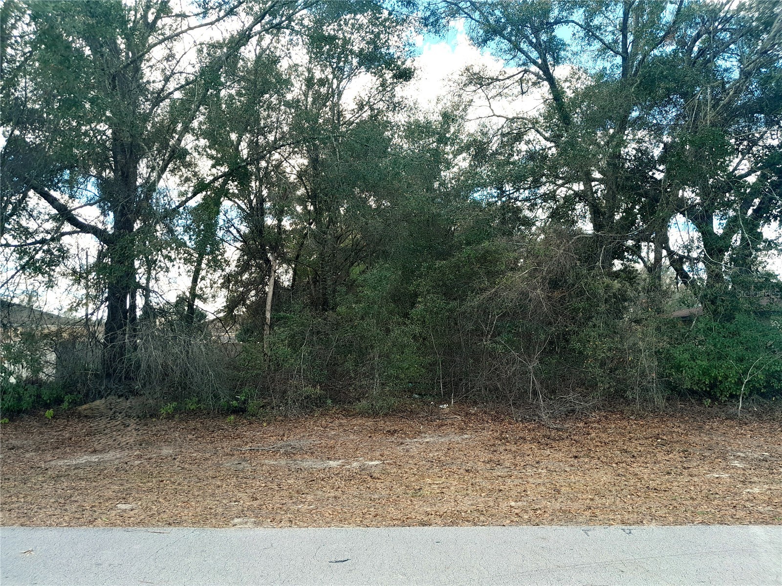 00 SW 28 Terrace Road Ocala FL 34473 OM719028 image1
