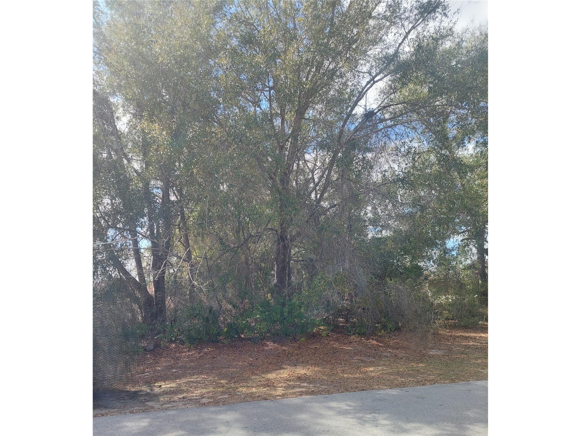 00 SW 28 Terrace Road Ocala FL 34473 OM719028 image2