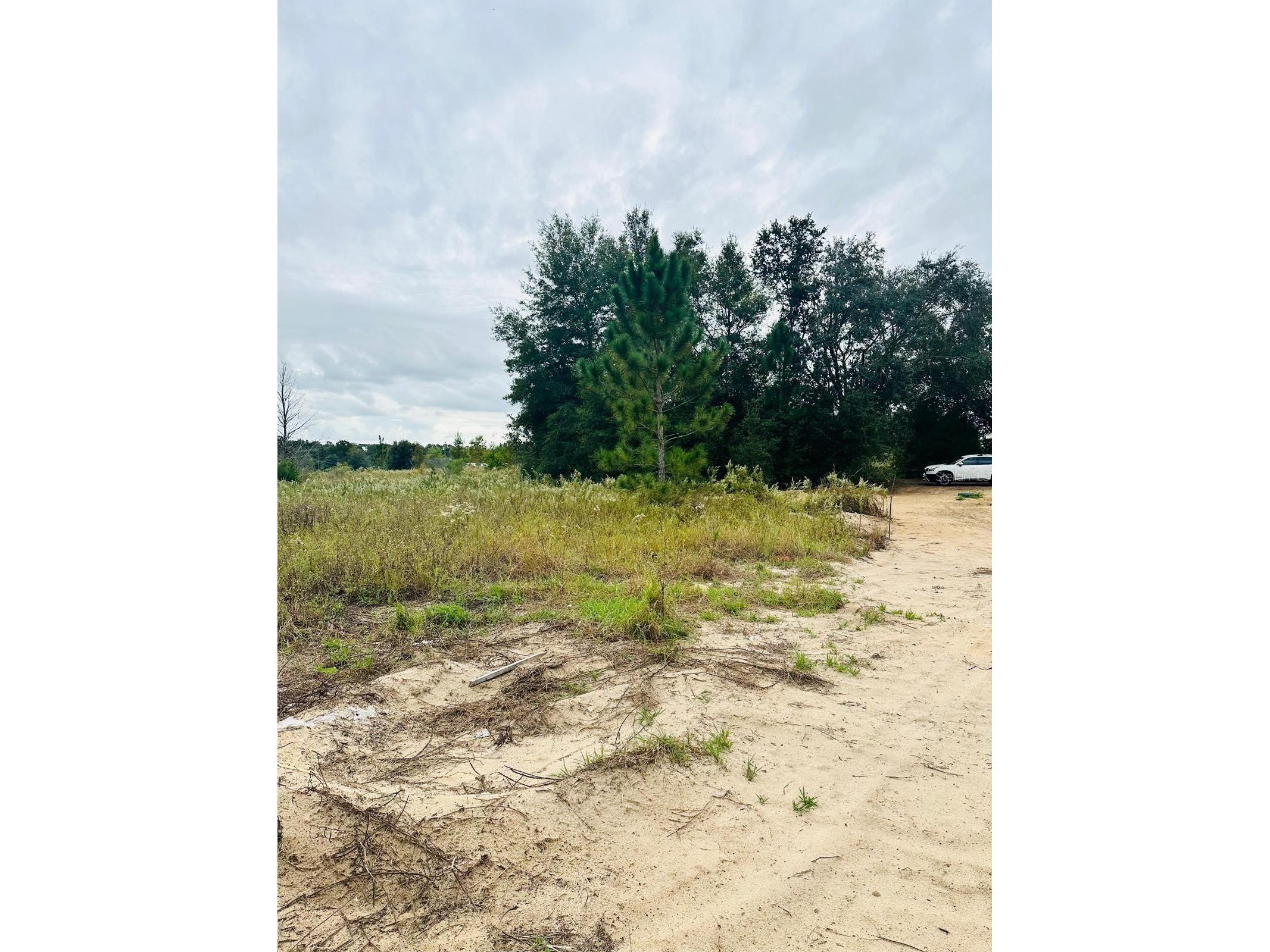 00 SW 28th Place Ocala FL 34481 OM728132 image4