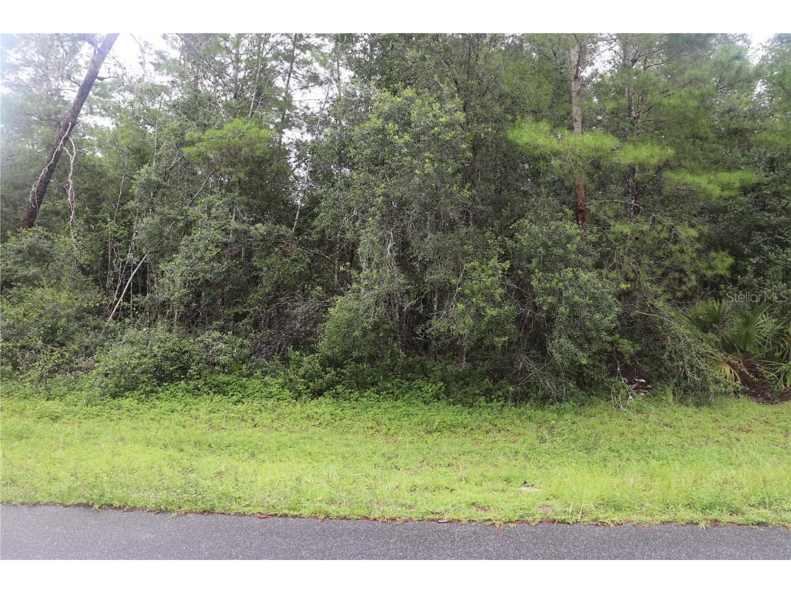 00 SW 29 Terrace Road Terrace SW Ocala FL 34473 OM625028 image1