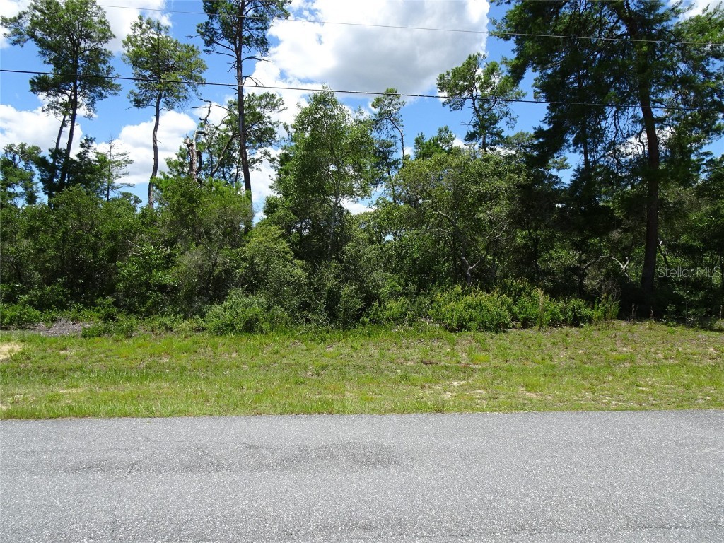 00 SW 29th Terrace Road Ocala FL 34473 OM641894 image1