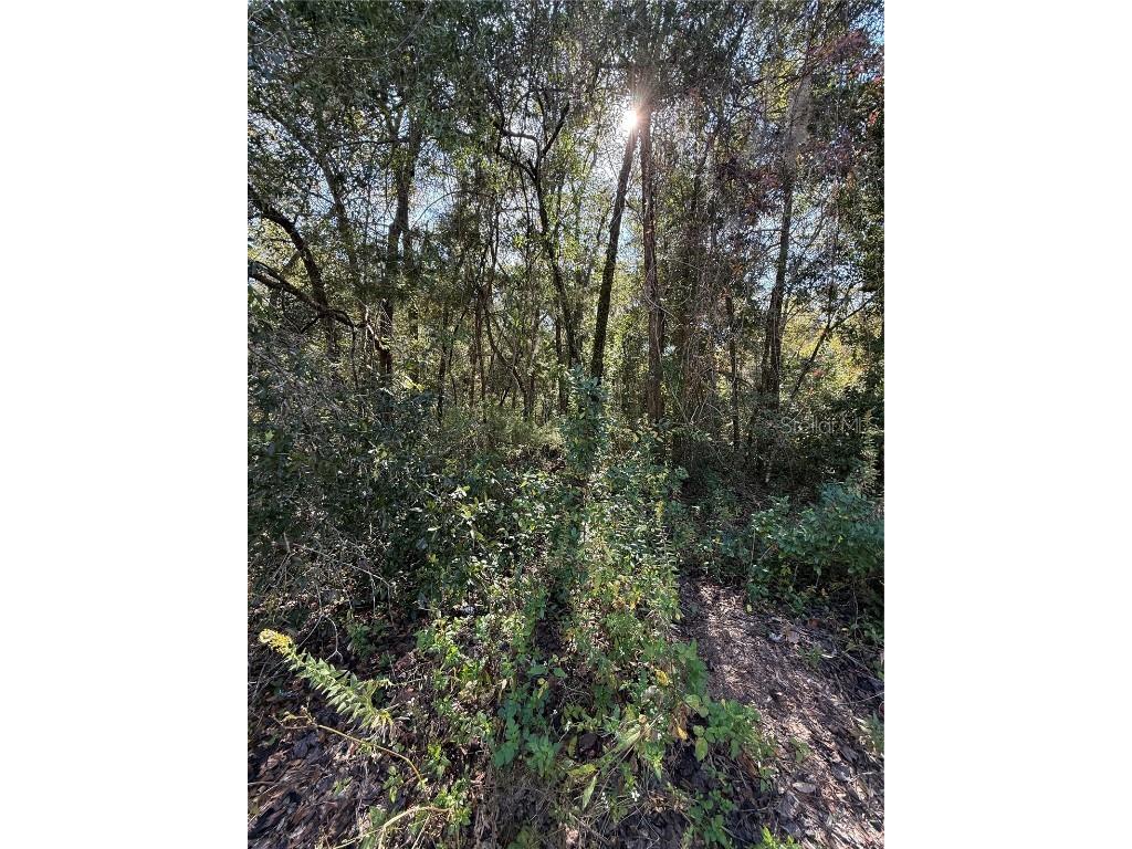 00 SW 2nd Pl Ocala FL 34474 OM713967 image11