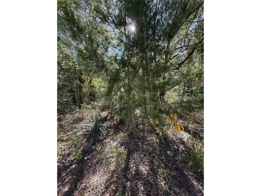 00 SW 2nd Pl Ocala FL 34474 OM713967 image14