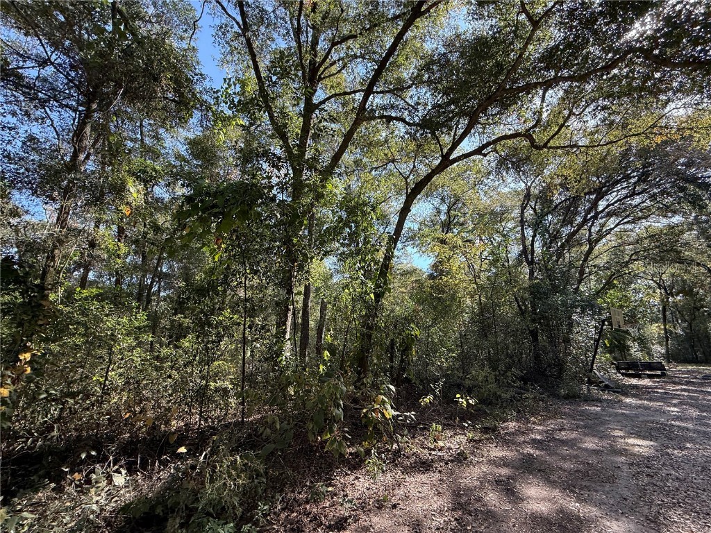 00 SW 2nd Pl Ocala FL 34474 OM713967 image6