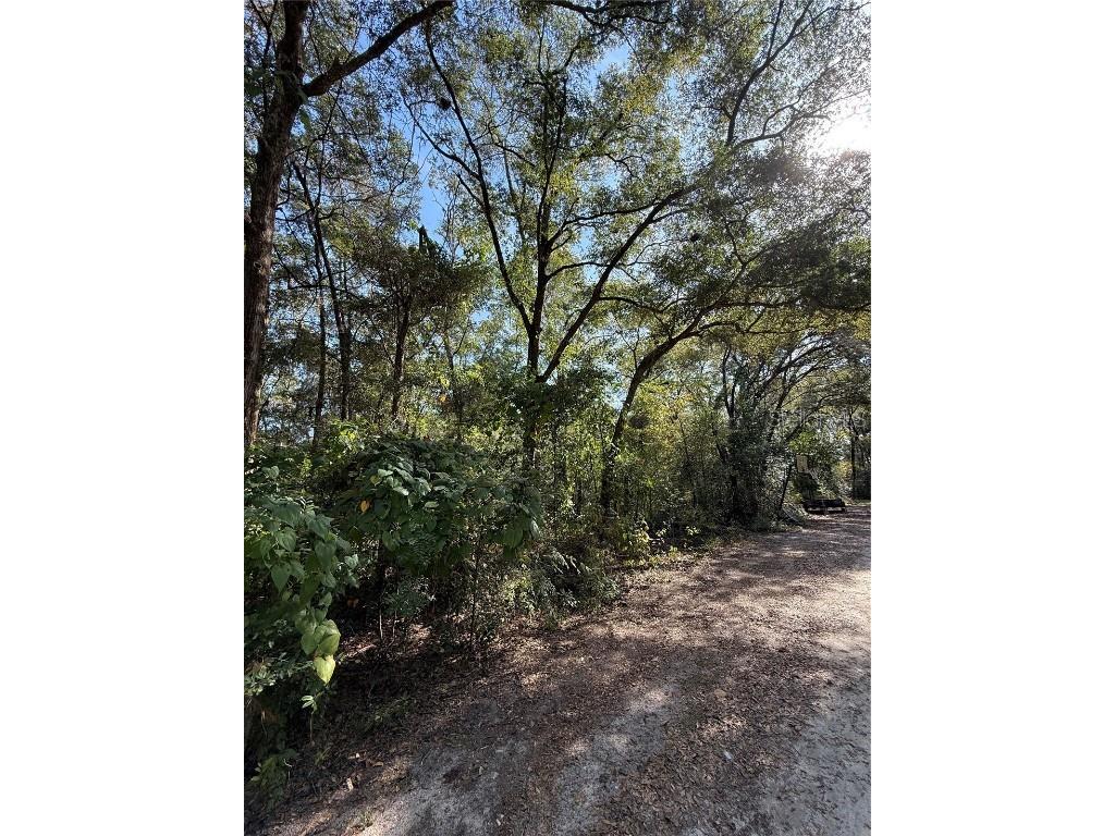 00 SW 2nd Pl Ocala FL 34474 OM713967 image7