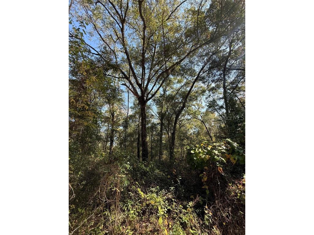 00 SW 2nd Pl Ocala FL 34474 OM713967 image8