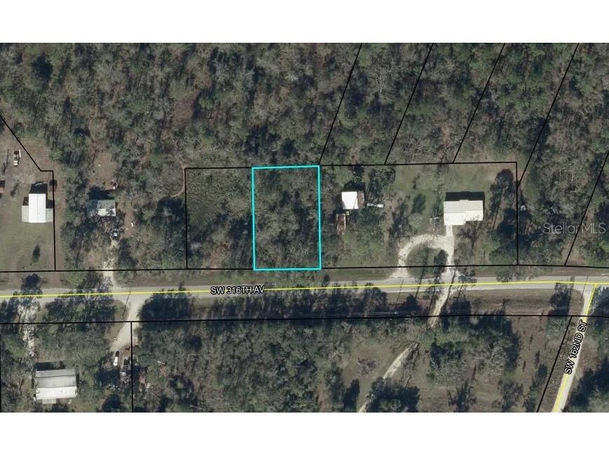 00 SW 316 Avenue Cross City FL 32628 OM716614 image2