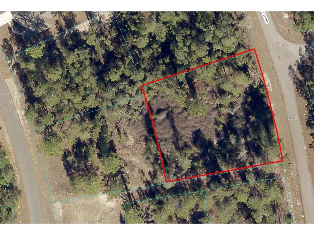 00 SW 36th Terrace Ocala FL 34473 OM642669 image1