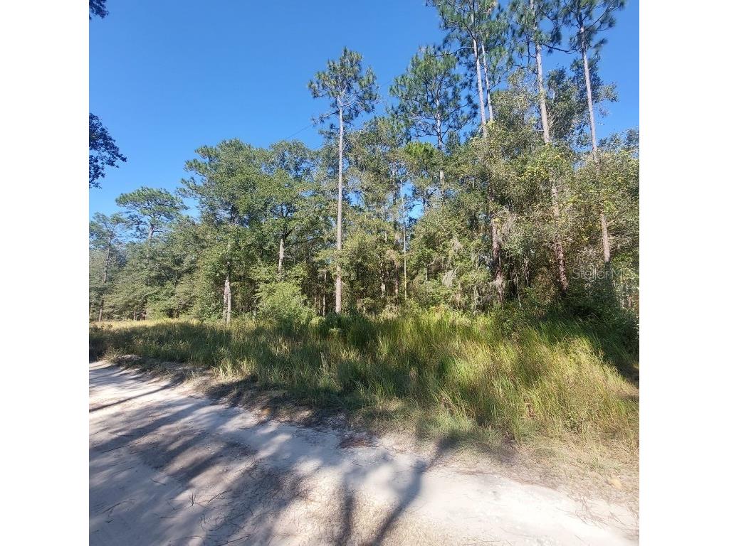 00 SW 38 Place Ocala FL 34481 OM673253 image1