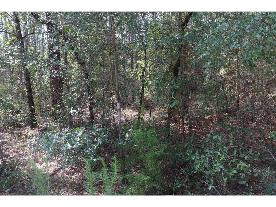 00 SW 39 Street Dunnellon FL 34432 OM663337 image1