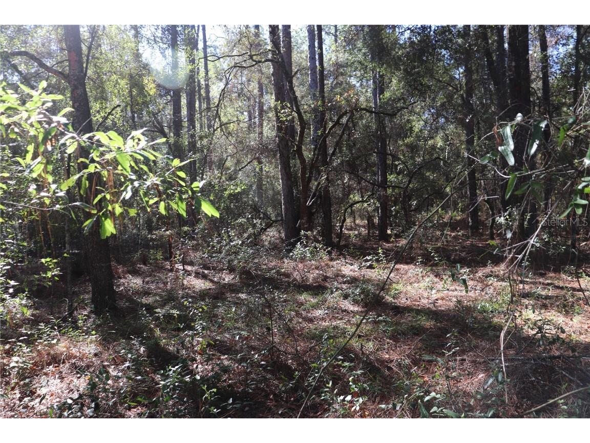 00 SW 39 Street Dunnellon FL 34432 OM712255 image1