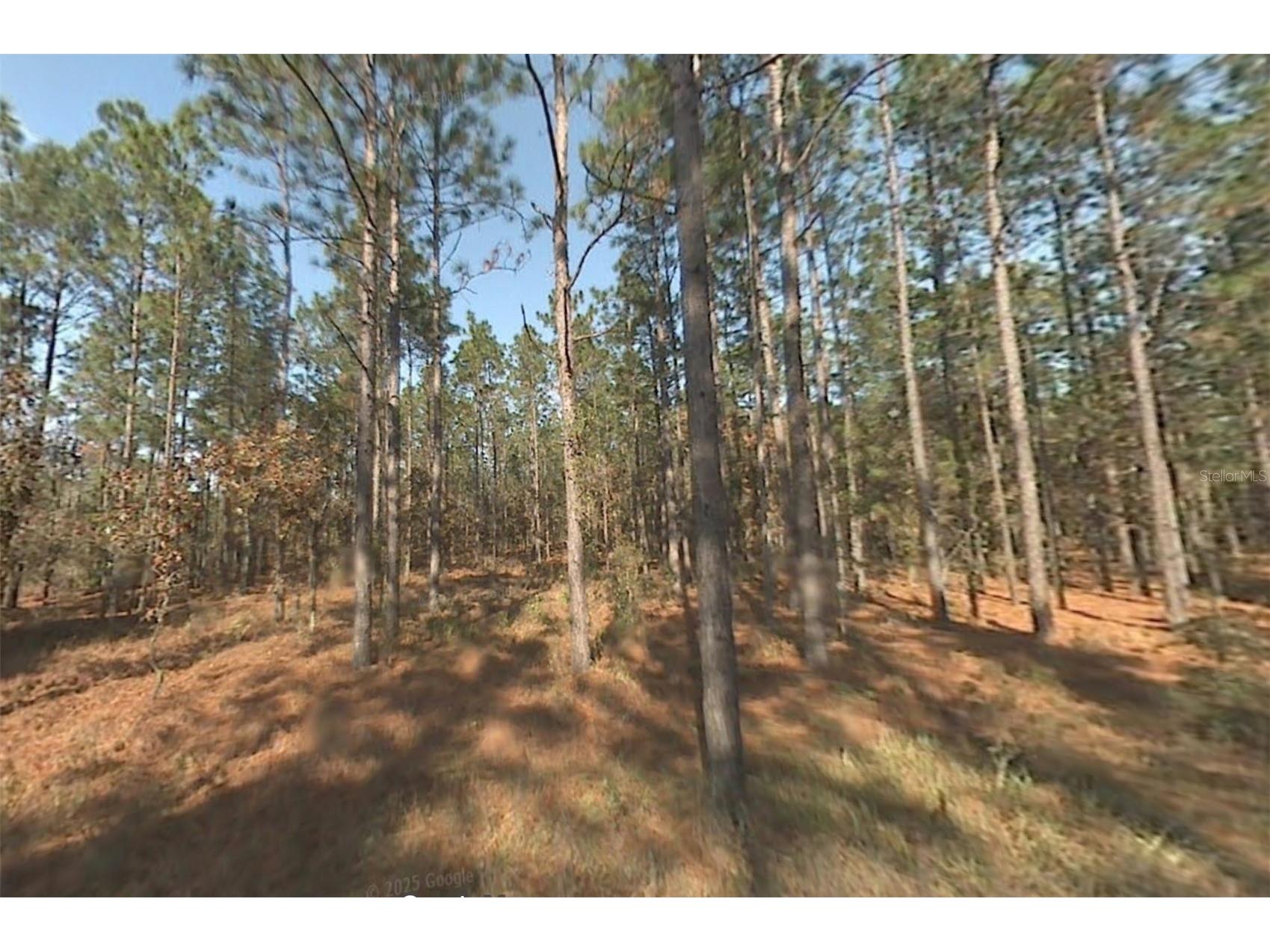 00 SW 39th Street Dunnellon FL 34432 OM718241 image1