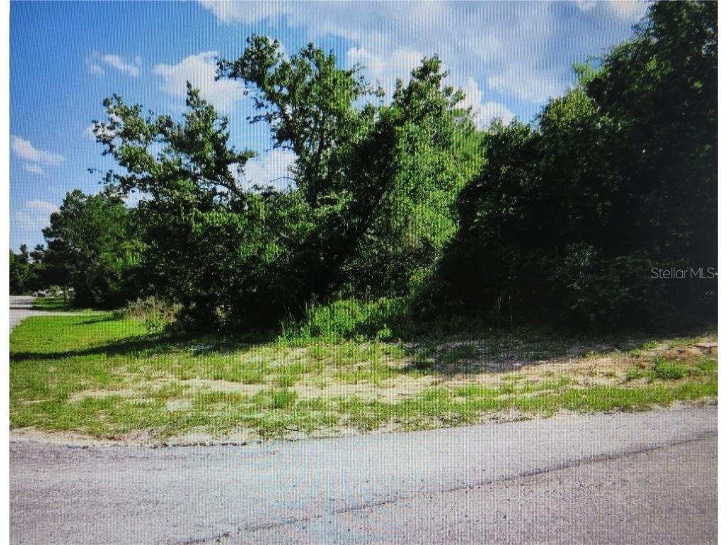 00 SW 41st Ave Road Ocala FL 34473 OM640160 image1