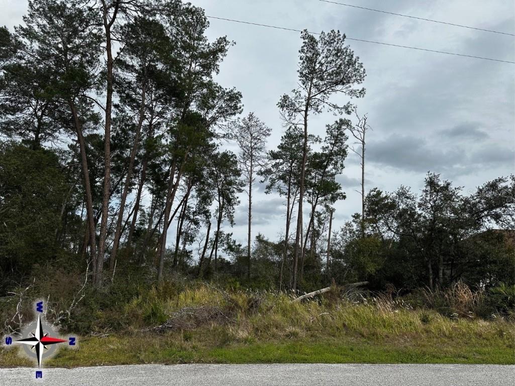 00 SW 42nd Avenue Ocala FL 34473 OM674430 image1